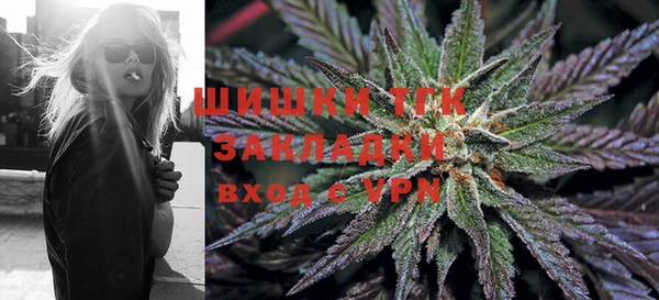 стафф Алзамай